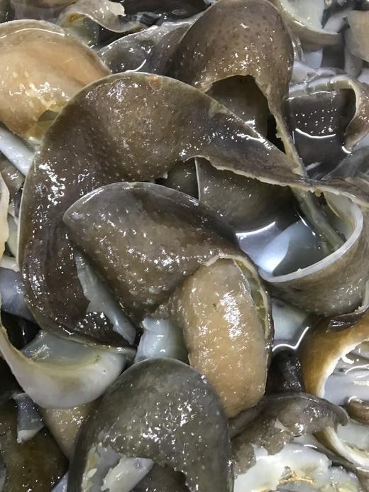 甲鱼裙边250克 商品图4