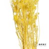 永生花材 | 小米花漂黄色 商品缩略图2