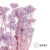 永生花材 | 小米花漂紫色 商品缩略图3