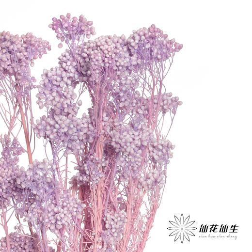 永生花材 | 小米花漂紫色 商品图3