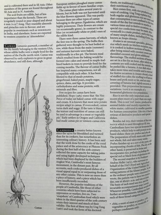 牛津食物指南 数百幅插图 精装16开 商品图14