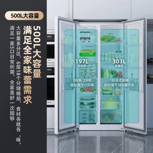 500升 双变频一级对开门冰箱 5GW50JFB 商品图2