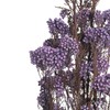 永生花材 | 小米花紫色 商品缩略图2