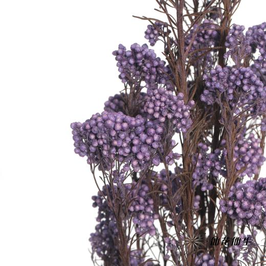 永生花材 | 小米花紫色 商品图2