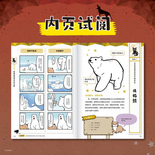 销声匿迹 : 灭绝生物轻图鉴 小学生全彩科普漫画图鉴 小天角 商品图1