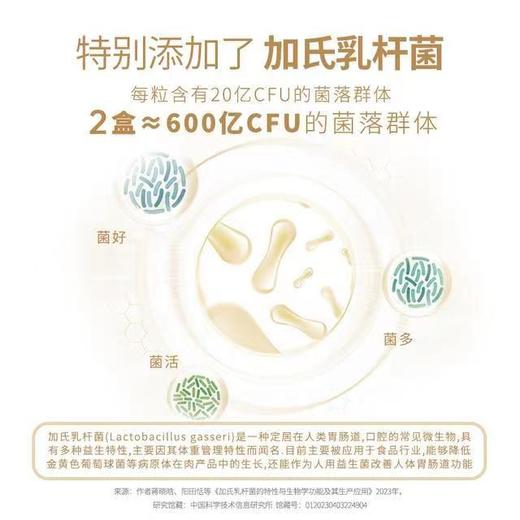 【新款益生菌升级版】法国Vitavea进口白加黑胶囊白天燃脂晚上排素益生菌纤体阻断阻油 商品图3