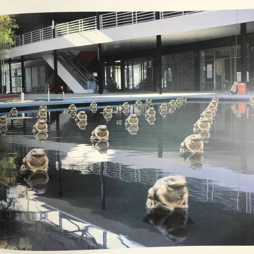 玛莎·施瓦茨的先锋景观与花园 300幅彩色插图 精装大16开 商品图14