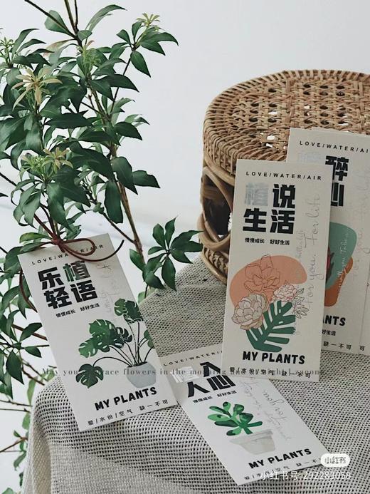 小清新花卉挂牌吊卡---绿植卡片 商品图2