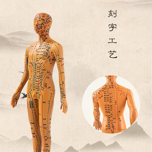 铜色针灸穴位人体模型 男女版（硬款，高约35cm） 商品图1