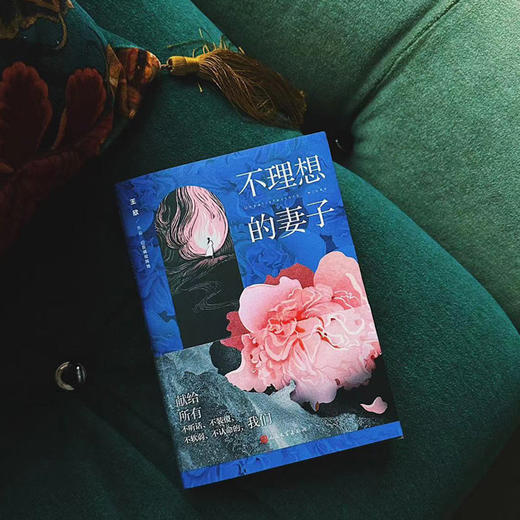 不理想的妻子（@反裤衩阵地/王欣全新作品）(王欣（网络名：反裤衩阵地）) 商品图3