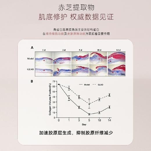 RIUE时光臻萃淡纹修护精华油30ml 商品图8