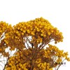 永生花材 | 小米花黄色 商品缩略图1