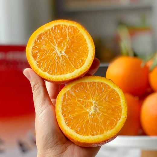 【春之语】湖北伦晚橙 商品图4