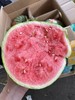 周四取货：【定金链接】无籽麒麟西瓜，5元/斤，甜蜜多汁！预付定金10元，到店称重补差价。 商品缩略图5