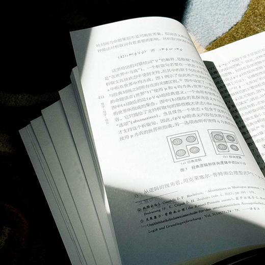 哲学 经学 语言 《思想与文化》第三十三辑 杨国荣主编 商品图12