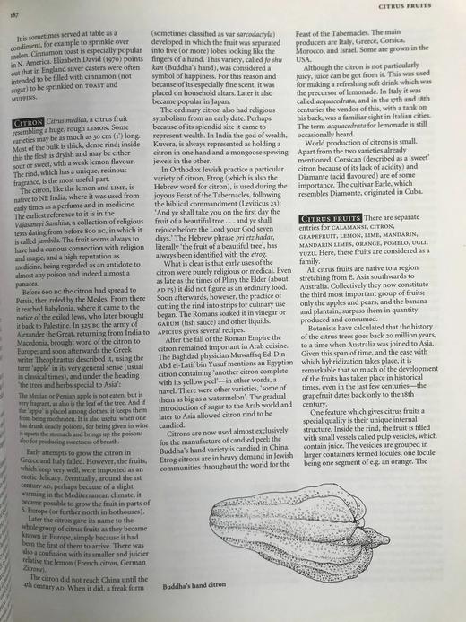 牛津食物指南 数百幅插图 精装16开 商品图9