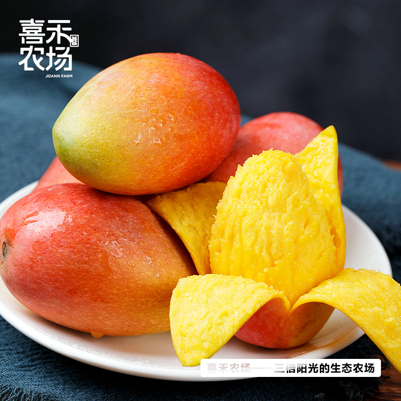 喜禾农场海南贵妃芒 | 树上成熟、自然香甜、汁多肉厚、每一口都是满足（食品不支持7天无理由）【HZ】