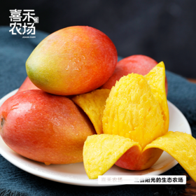 喜禾农场海南贵妃芒 | 树上成熟、自然香甜、汁多肉厚、每一口都是满足（食品不支持7天无理由）【HZ】