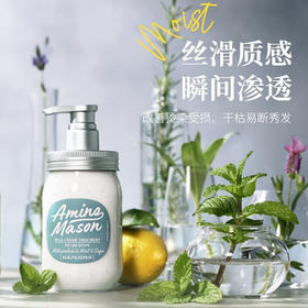 Amino Mason阿蜜浓梅森 氨基酸护发素450ml