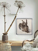 阿尔布雷希特·丢勒《野兔》（带框装裱画） 商品缩略图3