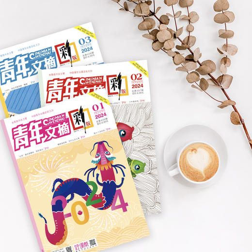 《青年文摘•彩版》（跨年定，每月2期，共24期）赠往期刊2本+孙子兵法1本 商品图2