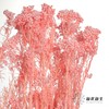 永生花材 | 小米花漂浅粉 商品缩略图0