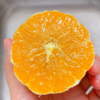 【春之语】湖北伦晚橙 商品缩略图5