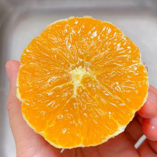 【春之语】湖北伦晚橙 商品图5