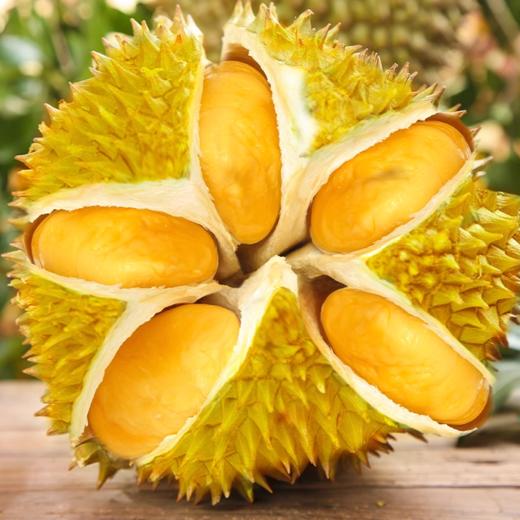 【金凤一号】泰国树上熟榴莲 商品图1