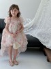 【YW】无忧购“童真童趣”韩系小清新碎花蝴蝶结宝宝公主裙拖尾连衣裙24886（截单后10天发货)25年清仓捡漏 商品缩略图5