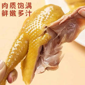 药膳蒸鸡 约2斤活鸡现杀现蒸