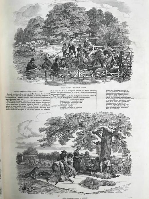 41.5*29.5cm！1846年7~12月 伦敦新闻画报 数百幅版画插图 漆布精装8开 商品图14