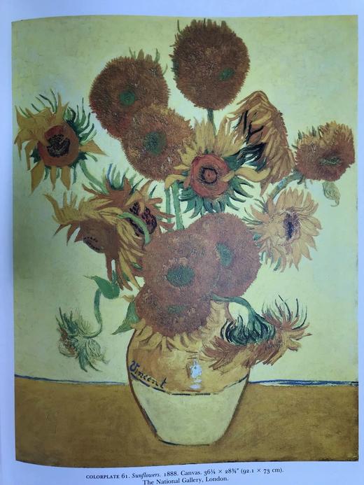 追忆梵高 125幅彩色103幅黑白插图 精装8开 商品图12