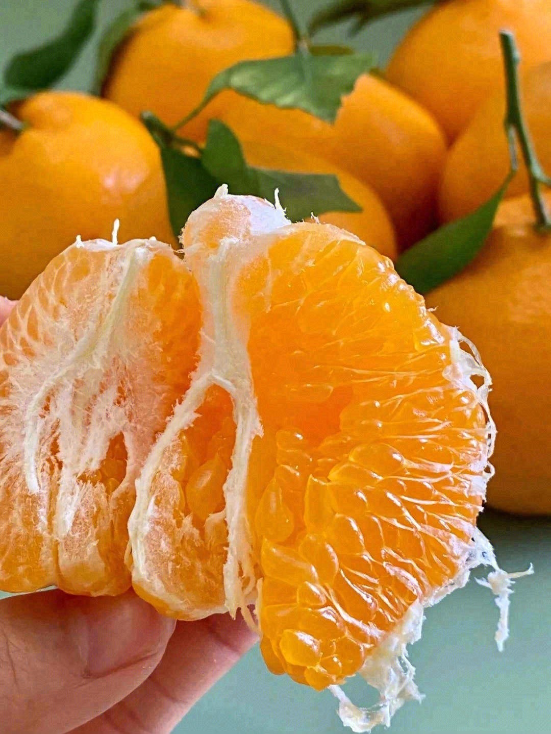 精装春见 粑粑柑 纯甜【5斤】