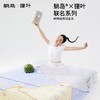躺岛️×狸叶联名 即刻凉感瓜瓜凉席 商品缩略图1