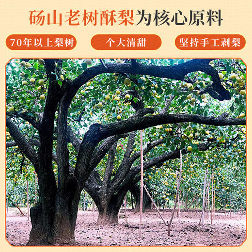 本草膏集秋梨膏砀山老树梨孕妇儿童清润润嗓桂花蜂蜜细润膏袋装 商品图6