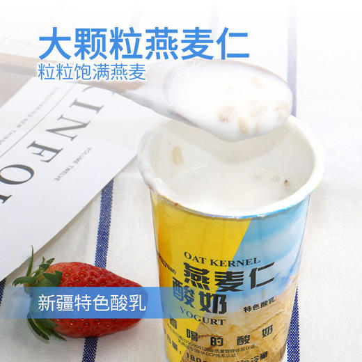 新疆瑞缘·燕麦仁酸奶·12罐/箱（原味）预售  24号发货 商品图2
