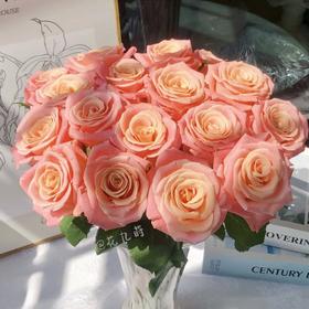 猪小姐玫瑰 20枝 | 新客福利