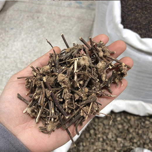 小黑药 云南特有 显脉旋覆花  可打粉 商品图3