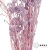 永生花材 | 小米花漂紫色 商品缩略图2