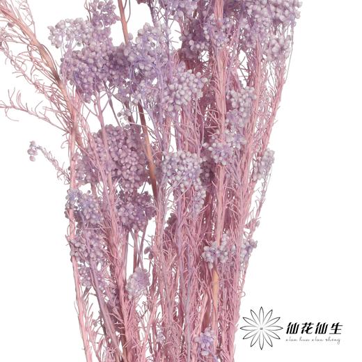 永生花材 | 小米花漂紫色 商品图2
