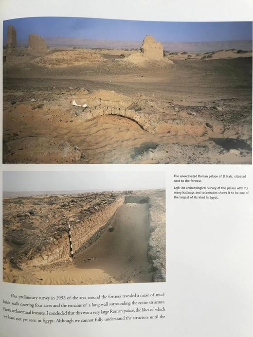 黄金木乃伊谷 300幅插图（260幅彩色） 精装大16开 商品图9