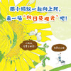 小蚂蚁向上爬（活力满满的早安绘本，每个孩子都是元气宝宝，属于低龄宝宝的自然认知绘本，大开本竖翻书，一场书页间的向日葵观光）(村上勉 著) 商品缩略图2