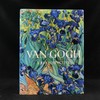 追忆梵高 125幅彩色103幅黑白插图 精装8开 商品缩略图0