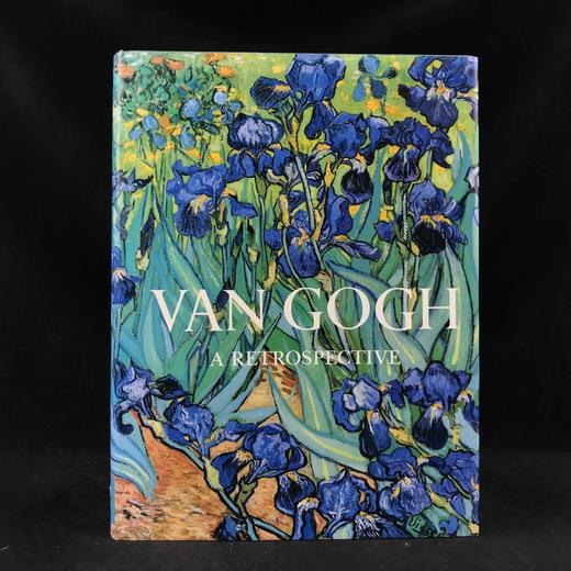 追忆梵高 125幅彩色103幅黑白插图 精装8开 商品图0