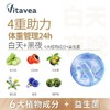 【新款益生菌升级版】法国Vitavea进口白加黑胶囊白天燃脂晚上排素益生菌纤体阻断阻油 商品缩略图2