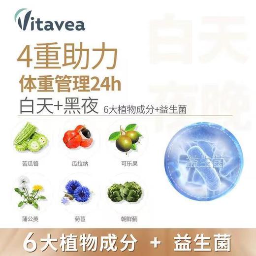 【新款益生菌升级版】法国Vitavea进口白加黑胶囊白天燃脂晚上排素益生菌纤体阻断阻油 商品图2