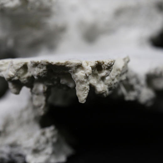 微缸成品造景 背滤款 多款式 商品图4