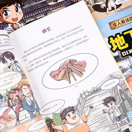 令人着迷的中国旅行记琵琶鸭——南京(乔冰) 商品图2