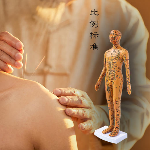 铜色针灸穴位人体模型 男女版（硬款，高约35cm） 商品图4